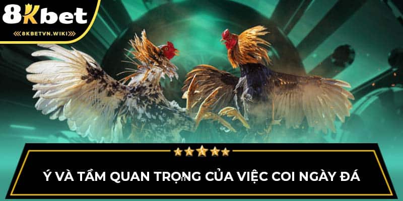 Ý và tầm quan trọng của việc coi ngày đá