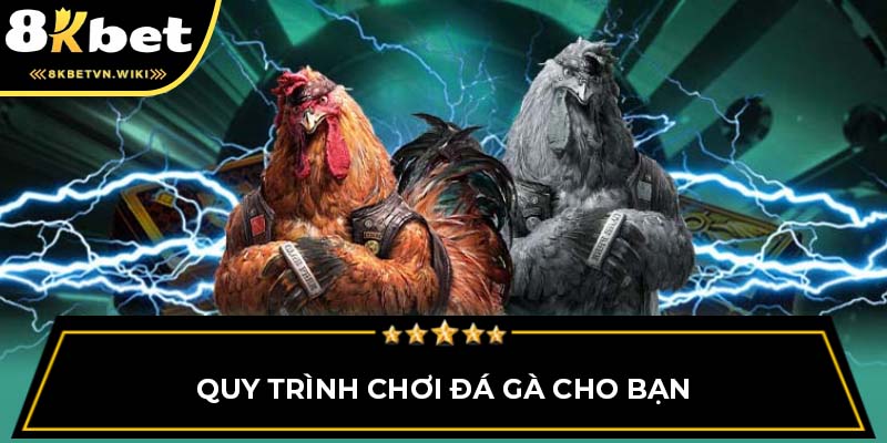 Quy trình chơi đá gà cho bạn