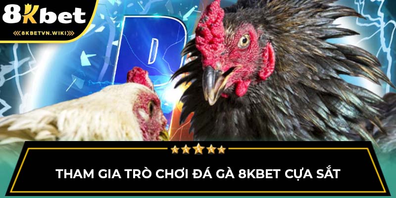 Tham gia trò chơi đá gà 8KBET cựa sắt