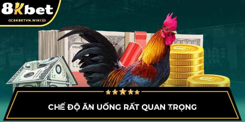 Chế độ ăn uống rất quan trọng