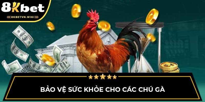 Bảo vệ sức khỏe cho các chú gà