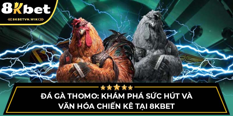 Đá Gà Thomo: Khám Phá Sức Hút Và Văn Hóa Chiến Kê Tại 8KBET