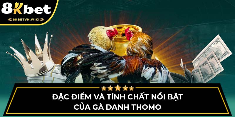 Đặc điểm và tính chất nổi bật của gà danh thomo