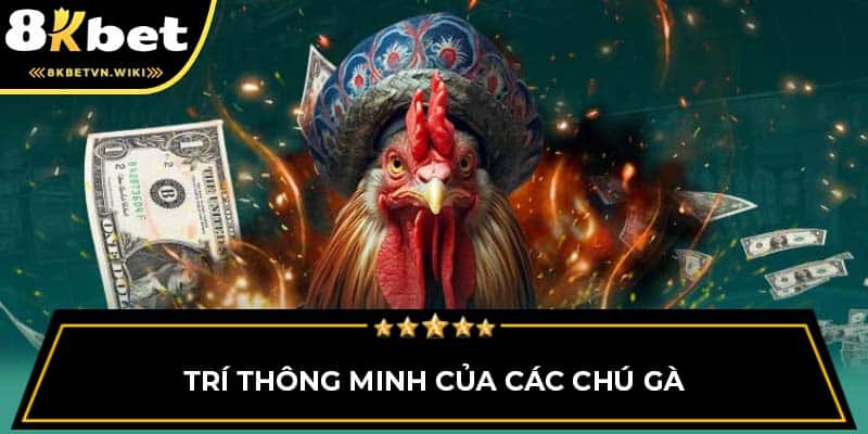 Trí thông minh của các chú gà