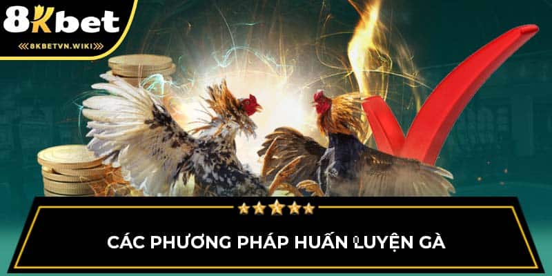 Các phương pháp huấn luyện gà