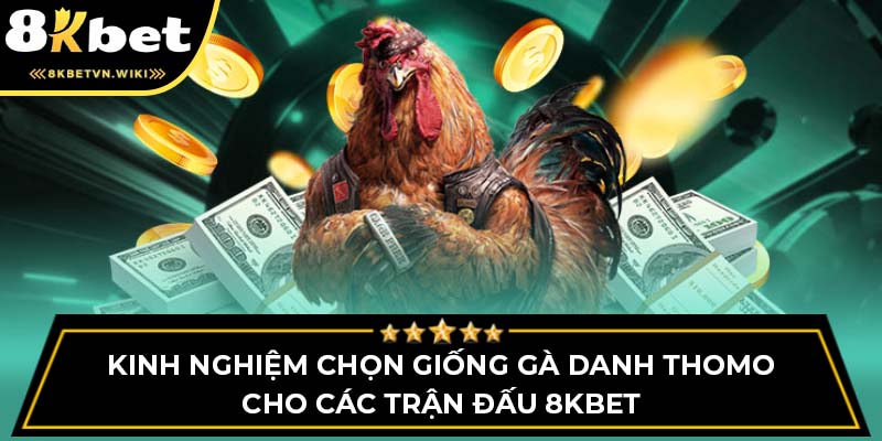 Kinh Nghiệm Chọn Giống Gà Danh Thomo Cho Các Trận Đấu 8KBET